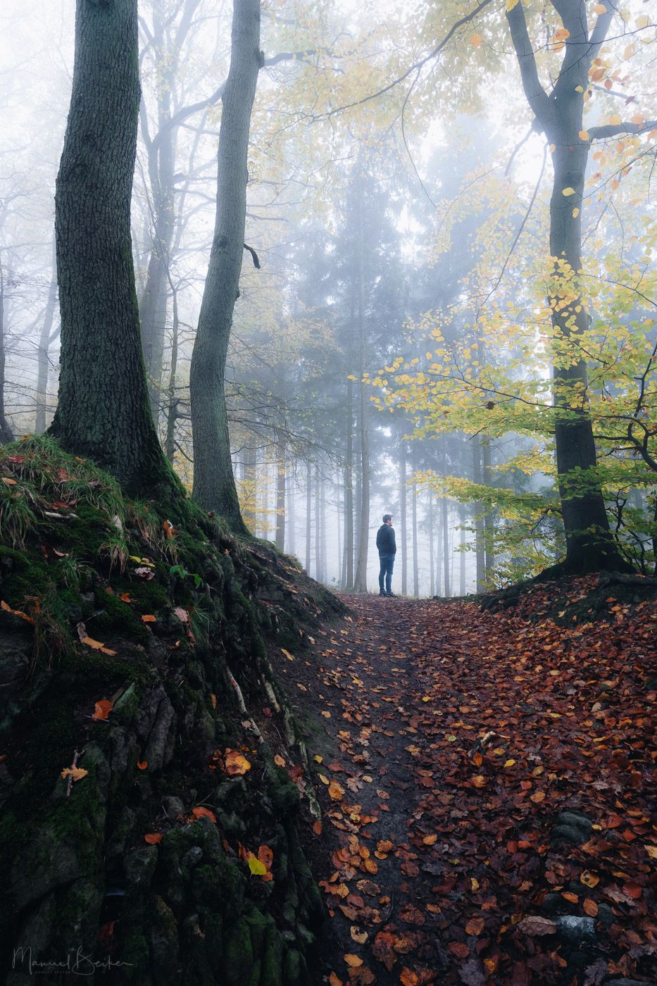 Path up to 3-Lake-View, Siebengebirge, Germany