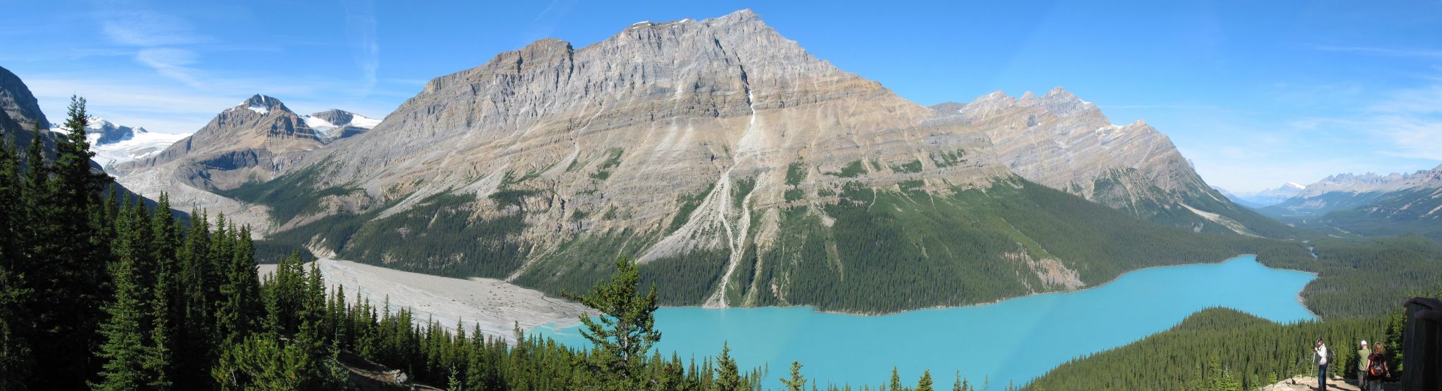 Peyto Lake Overview from Bow Summit, Canada