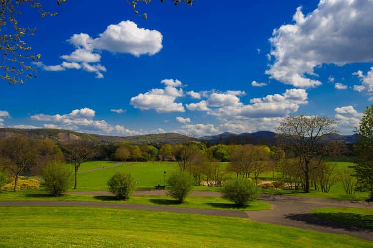 Rheinaue, Bonn