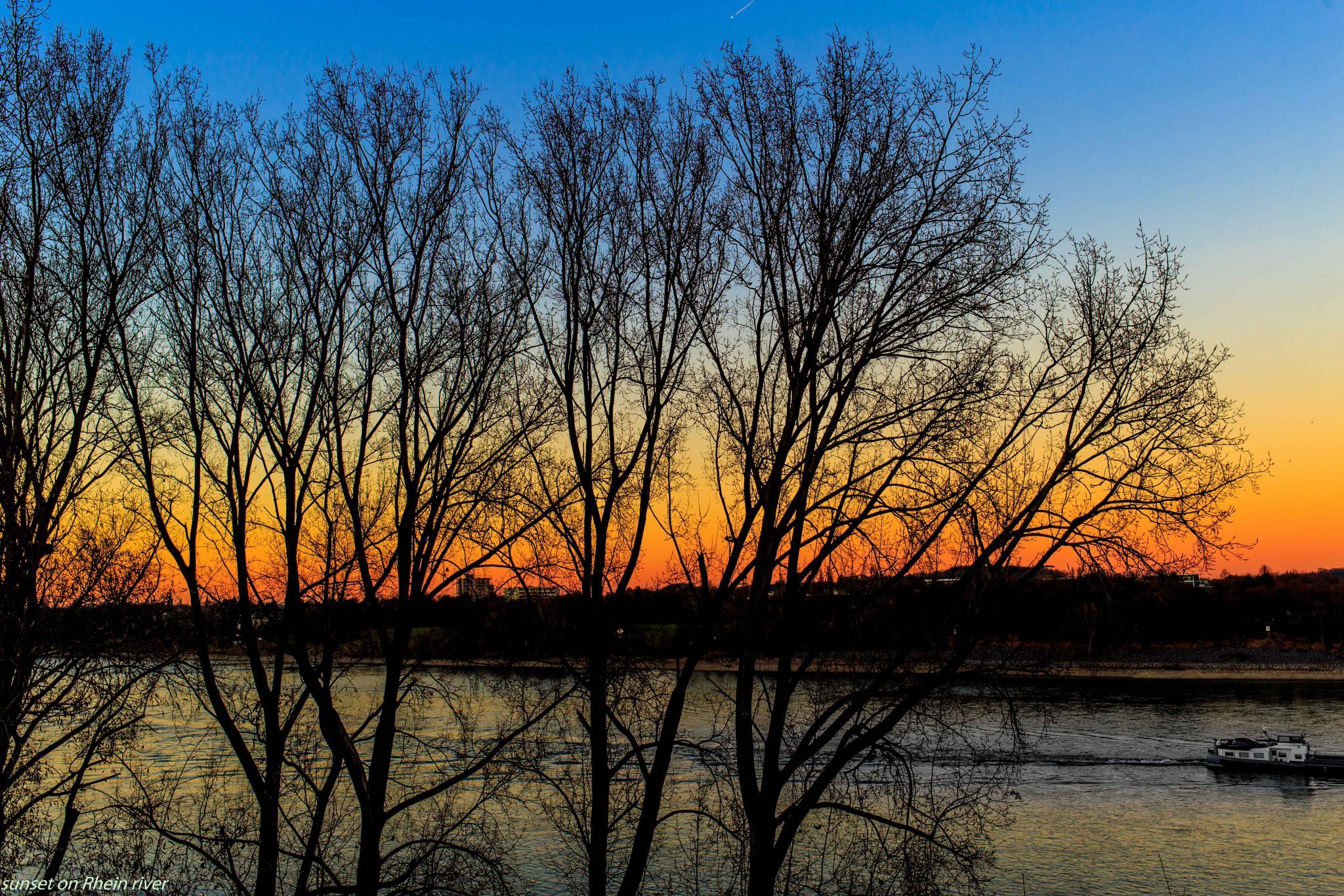 Rheinaue, Bonn, Germany