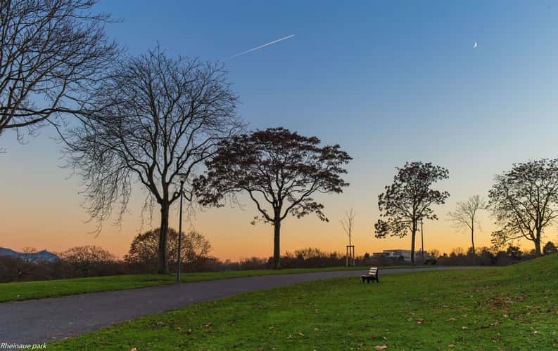 Rheinaue, Bonn