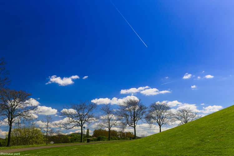Rheinaue, Bonn
