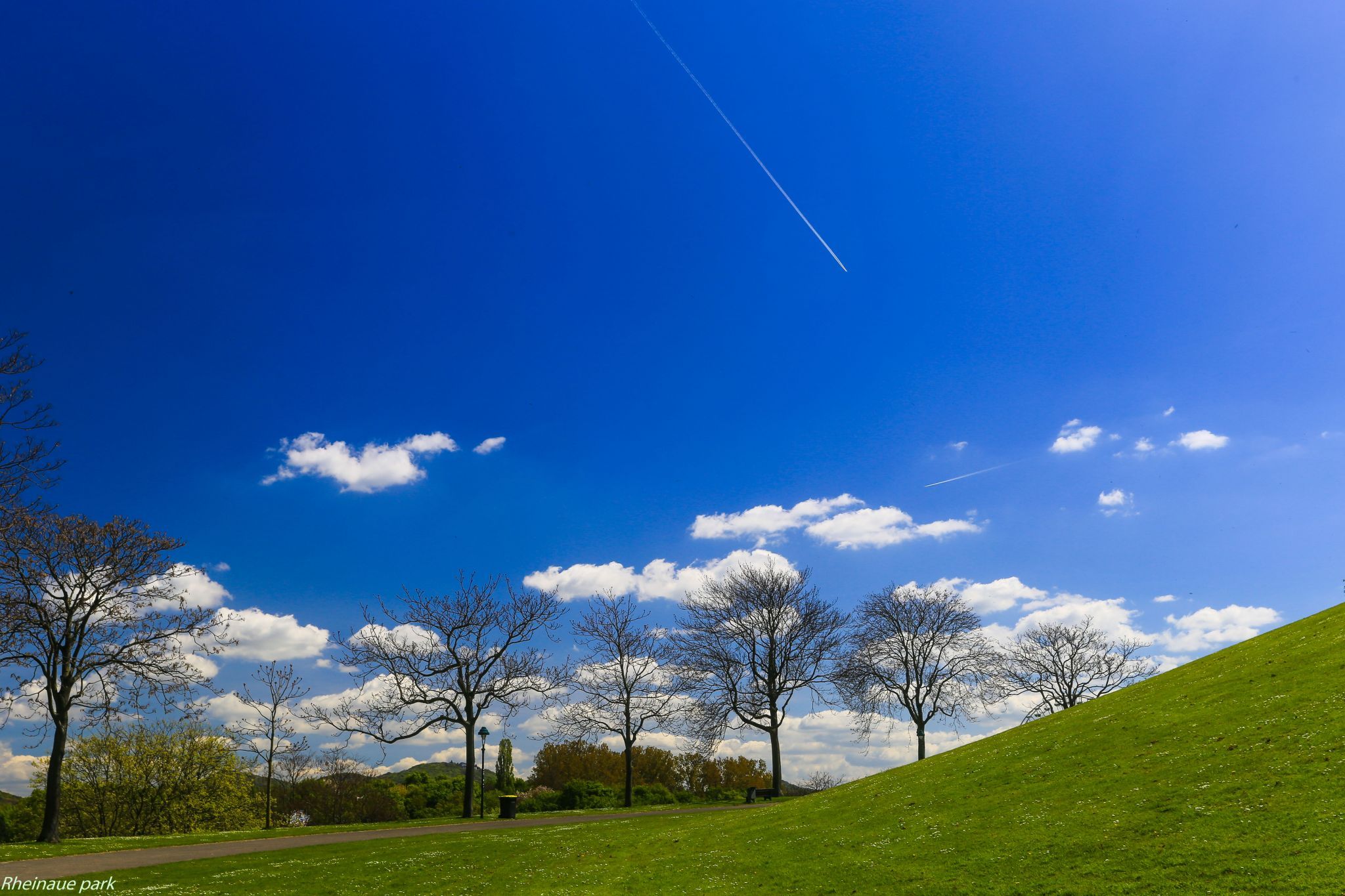 Rheinaue, Bonn, Germany