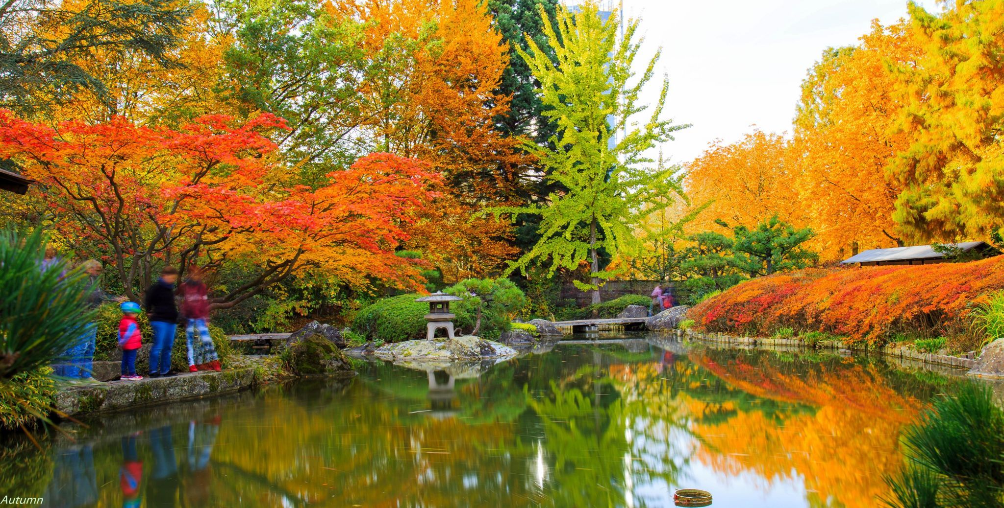 Rheinaue, Bonn, Germany