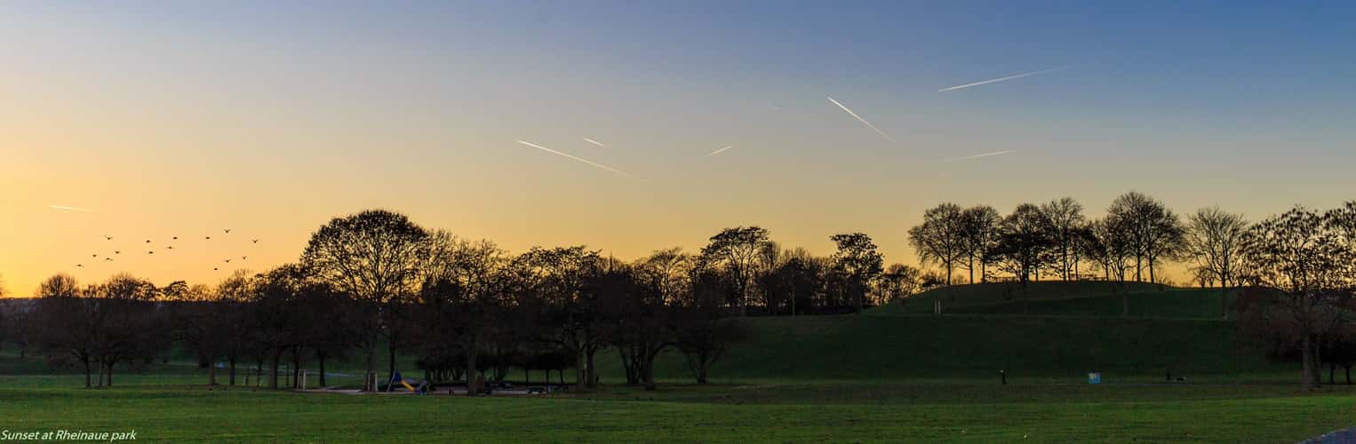 Rheinaue, Bonn