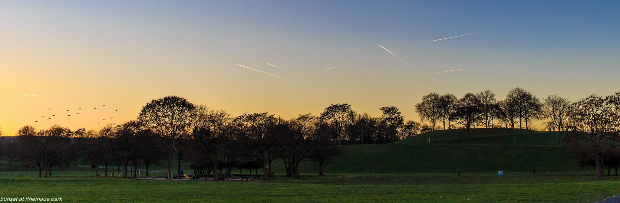 Rheinaue, Bonn, Germany