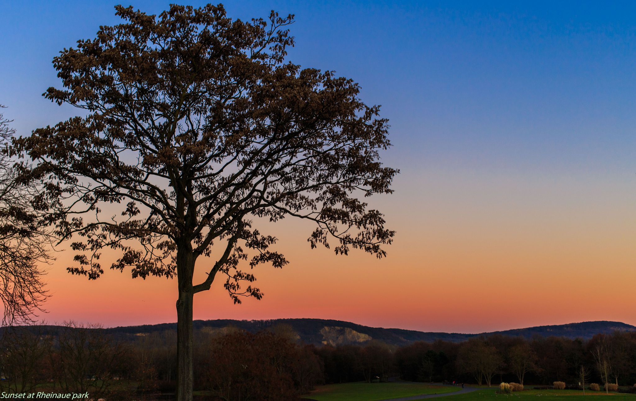 Rheinaue, Bonn, Germany