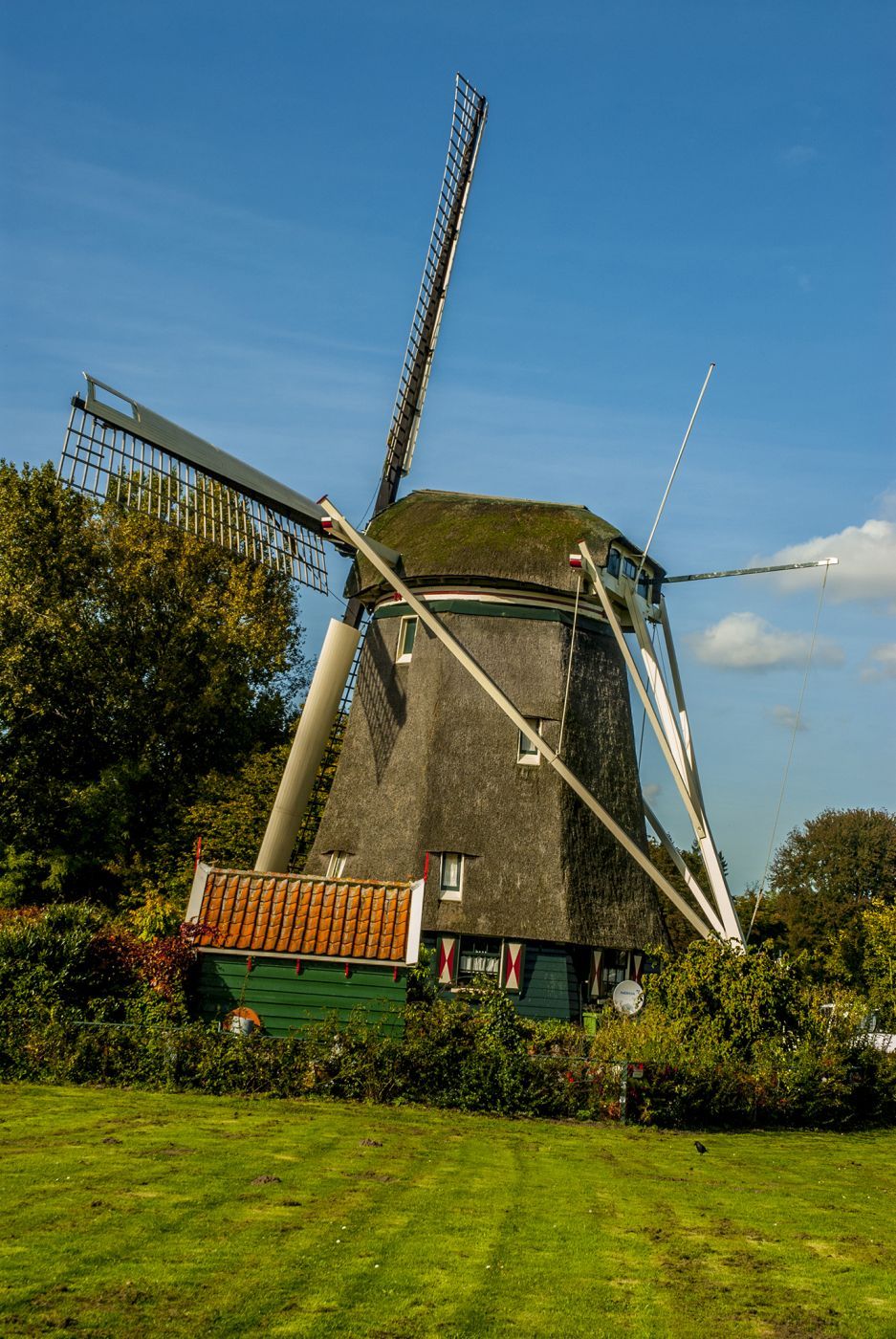 Rieker Windmill - Amsterdam, Netherlands