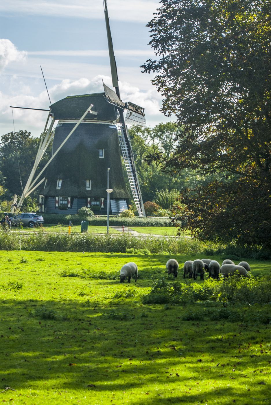 Rieker Windmill - Amsterdam, Netherlands