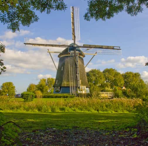 Rieker Windmill - Amsterdam