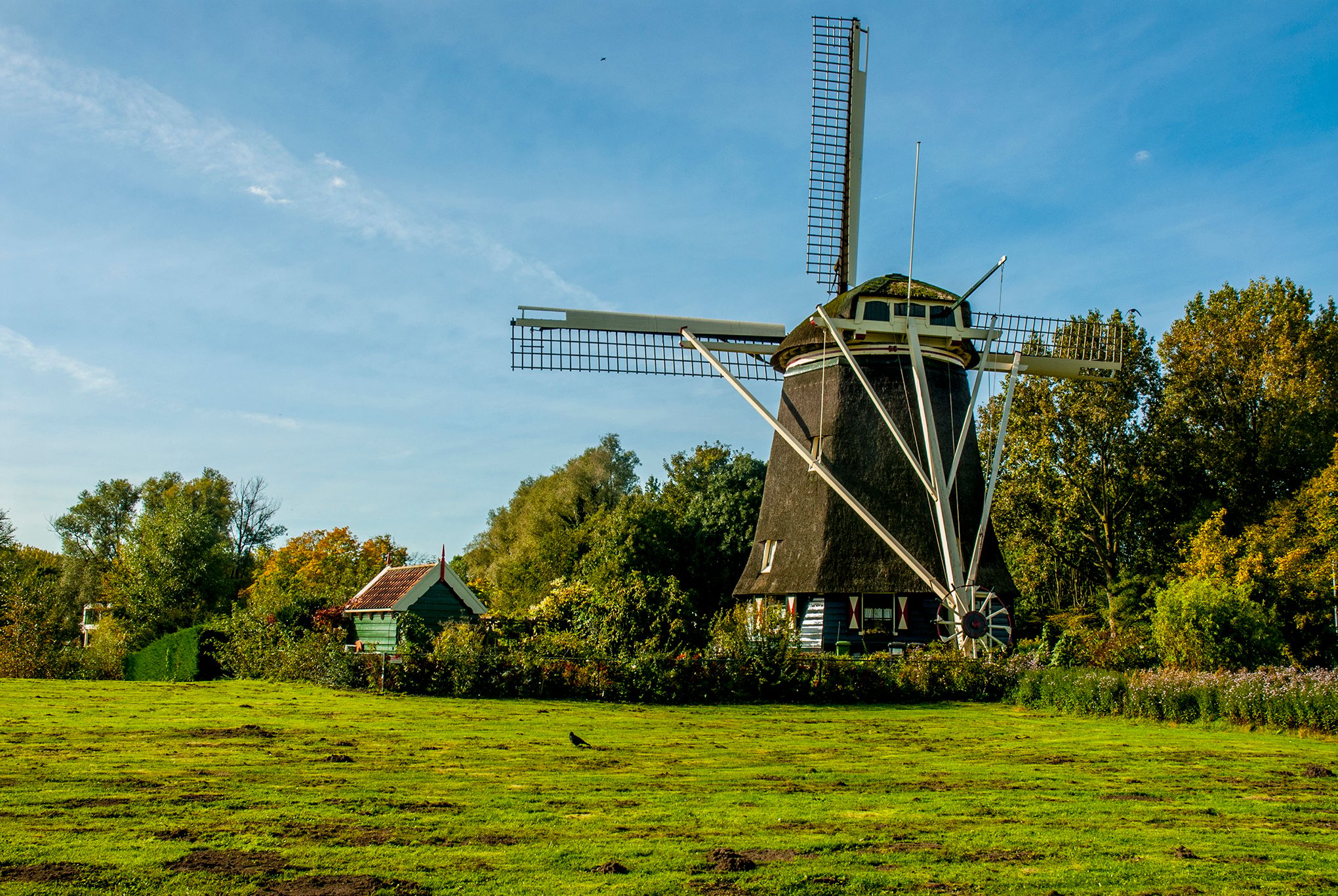 Rieker Windmill - Amsterdam, Netherlands