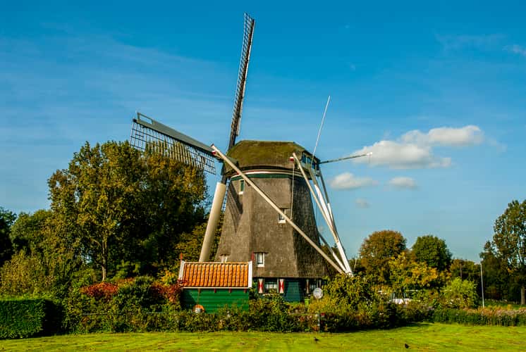 Rieker Windmill - Amsterdam