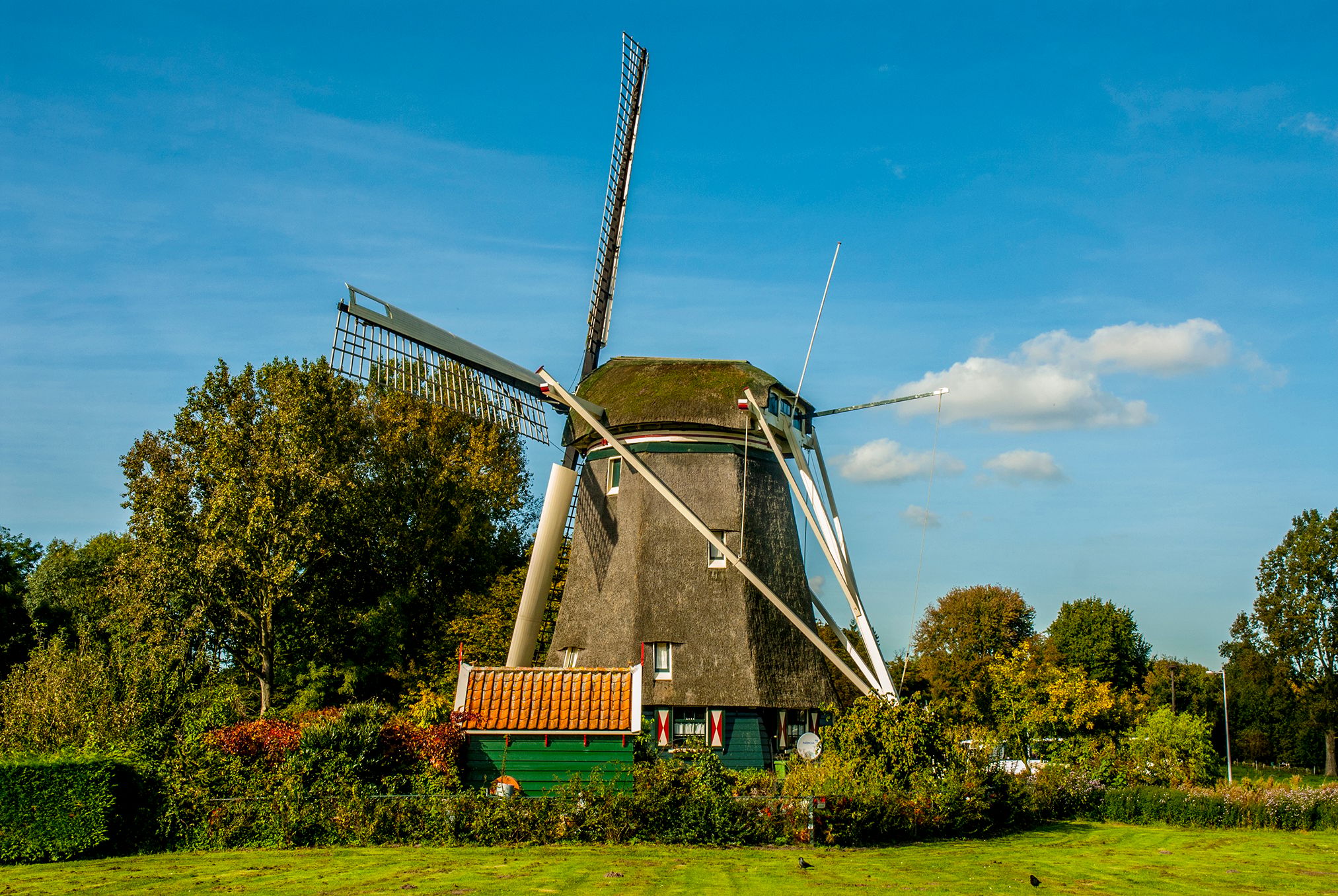 Rieker Windmill - Amsterdam, Netherlands