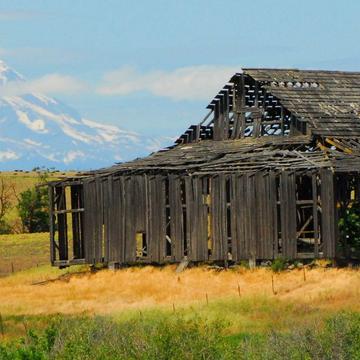 Rustic Barn, Homesteads under Mount Adams, USA