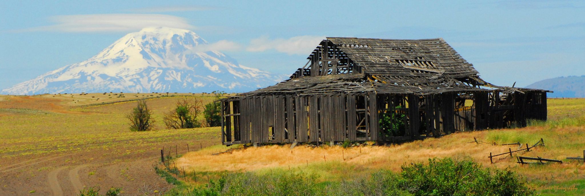 Rustic Barn, Homesteads under Mount Adams, USA