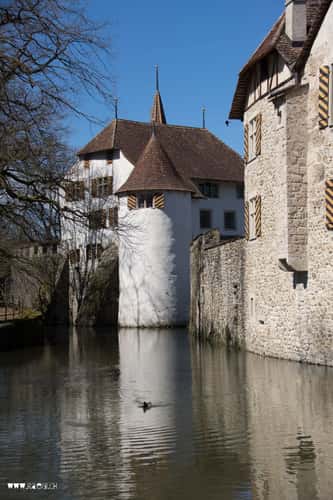 Schloss Hallwyl