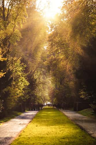 Schlosspark Benrath