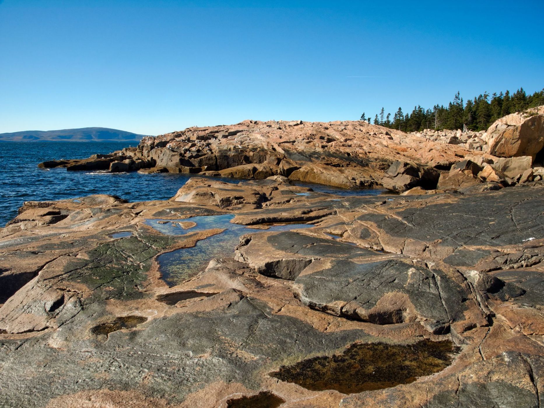 Schoodic Point, Acadia National Park, USA