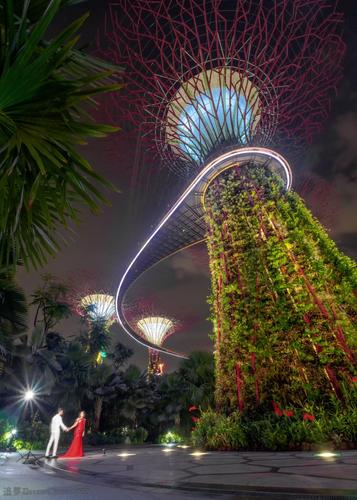 Singapore Supertree Grove - Gardens by the bay