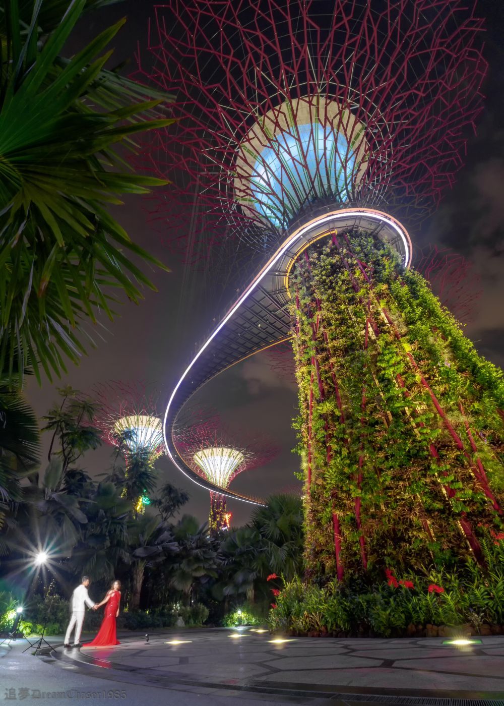 Supertree Grove - Gardens by the bay, Singapore, Singapore