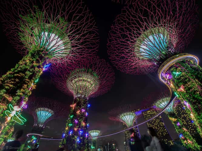 Supertree Grove - Gardens by the bay, Singapore