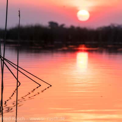 Sonnenuntergang im Okavango Delta, Botswana