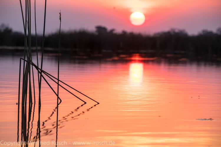 Sonnenuntergang im Okavango Delta