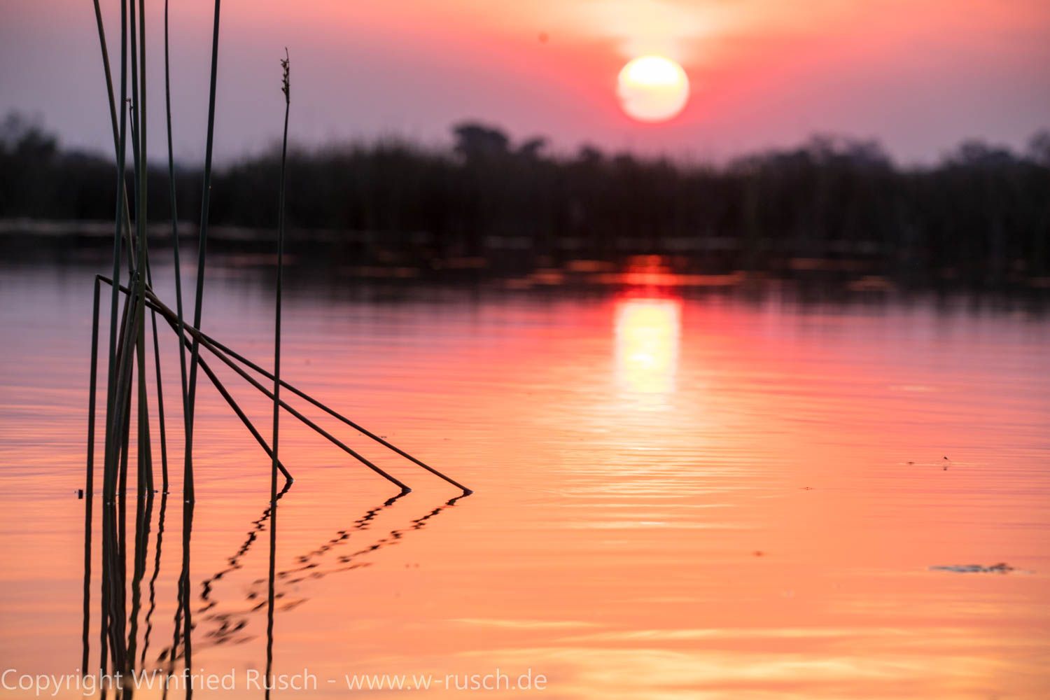 Sonnenuntergang im Okavango Delta, Botswana
