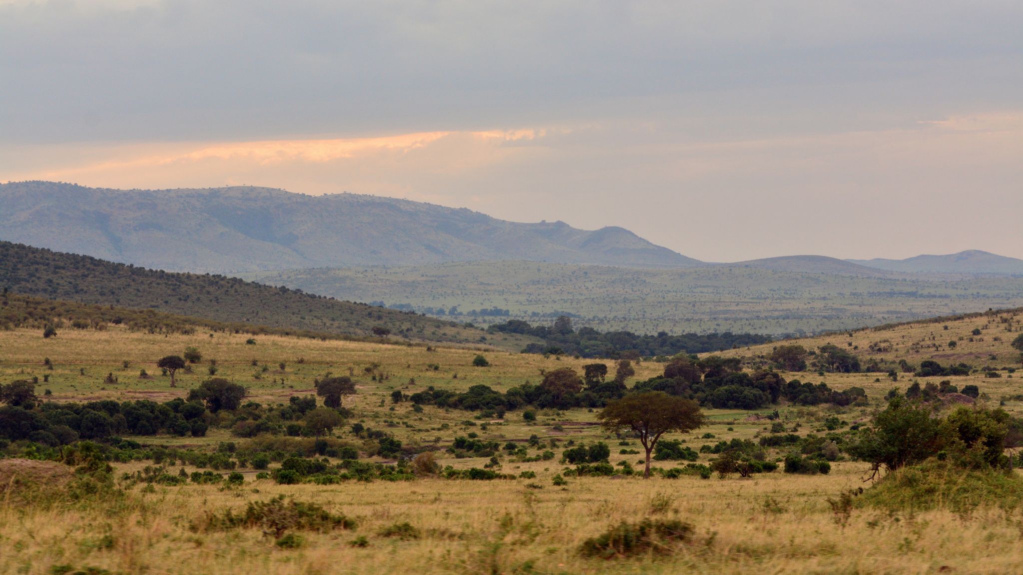 Sunrise in Maasai Mara National Reserve, Kenya