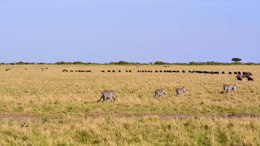 Sunrise in Maasai Mara National Reserve