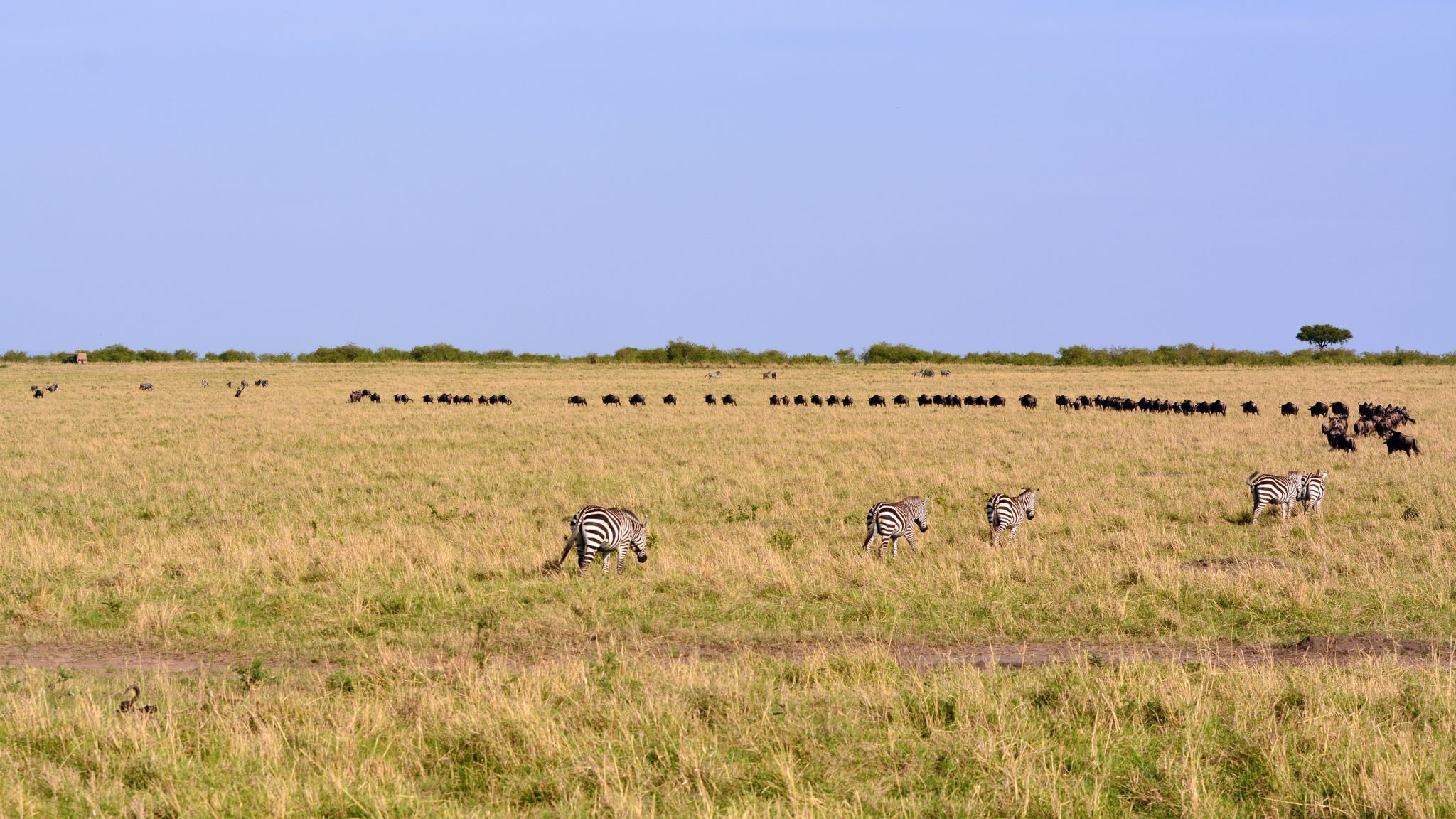Sunrise in Maasai Mara National Reserve, Kenya