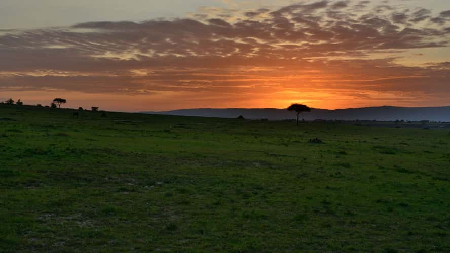 Sunrise in Maasai Mara National Reserve