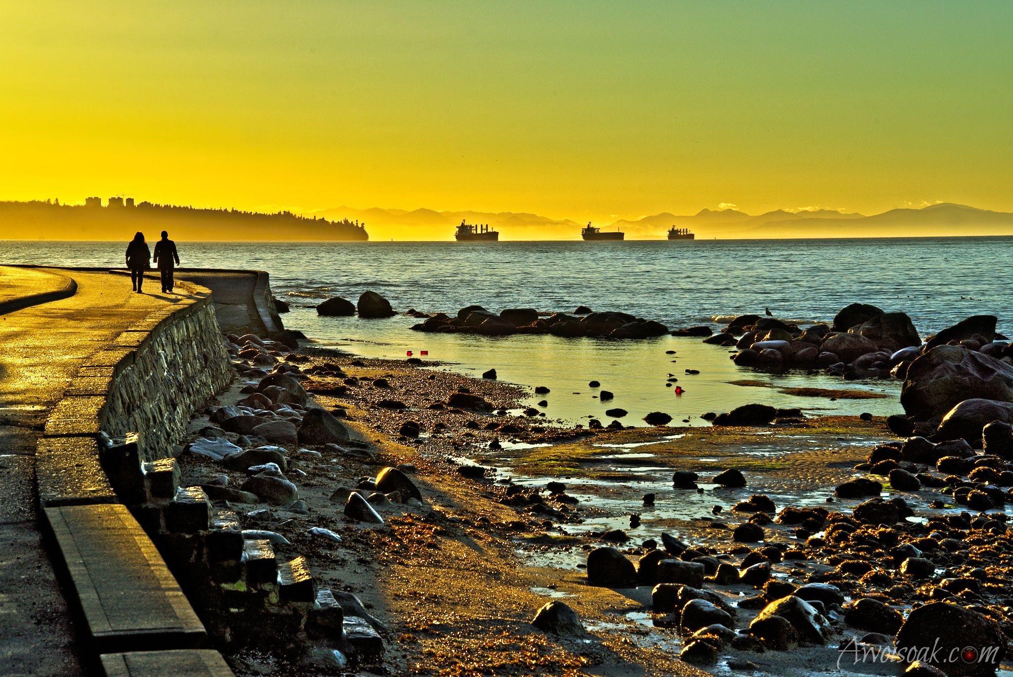 Sunset in Stanley Park, Canada