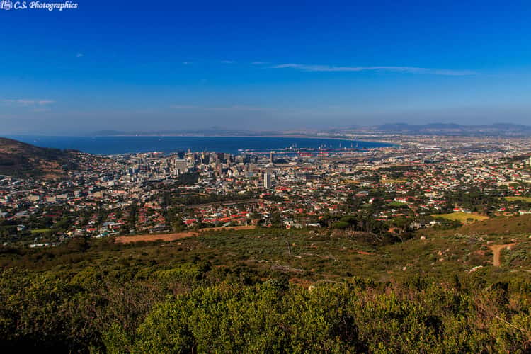 Table Mountain  Cape town