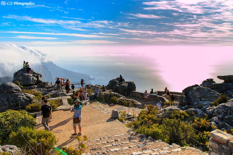 Table Mountain  Cape town