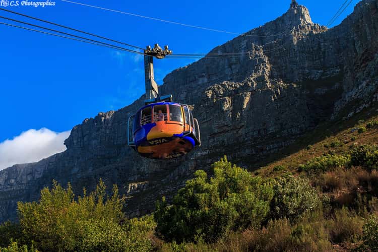 Table Mountain  Cape town