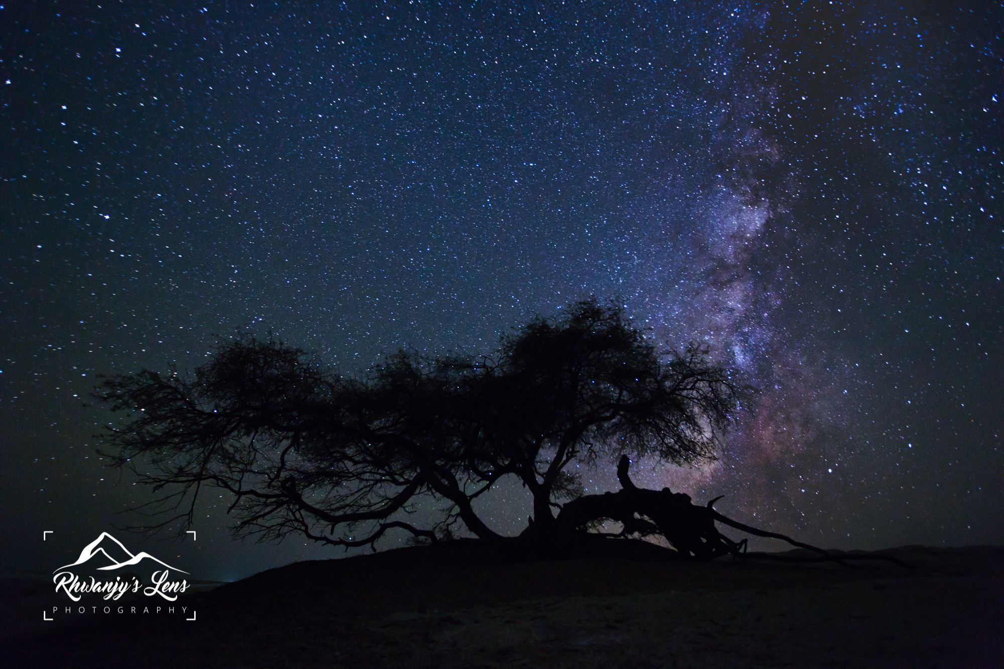 The Santa Tree with Milkyway, Egypt