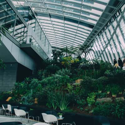 Sky Garden, London, United Kingdom