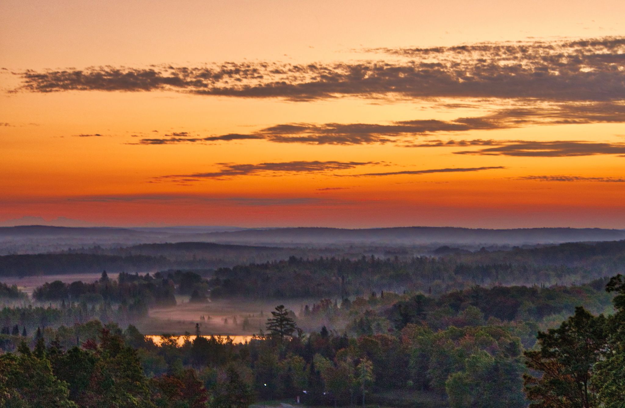 Treetops & Mountains, USA