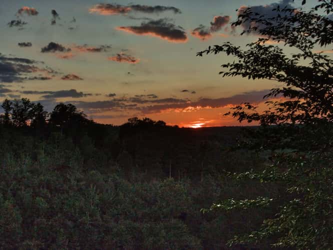 Treetops & Mountains