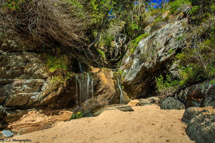 Tsitsikamma national Park