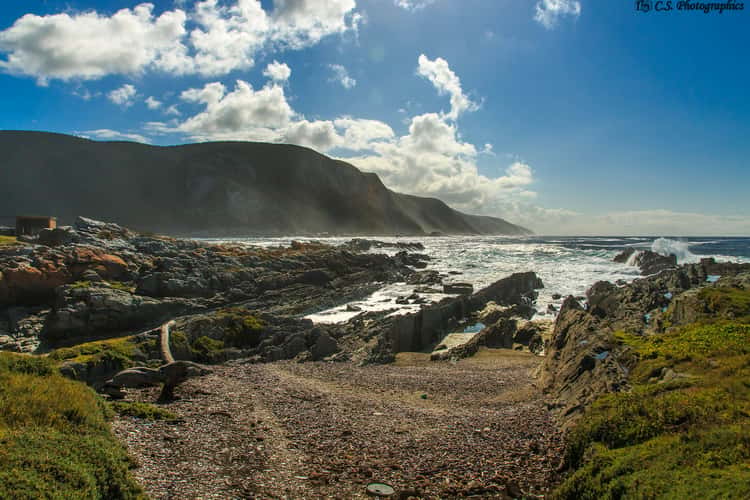 Tsitsikamma national Park