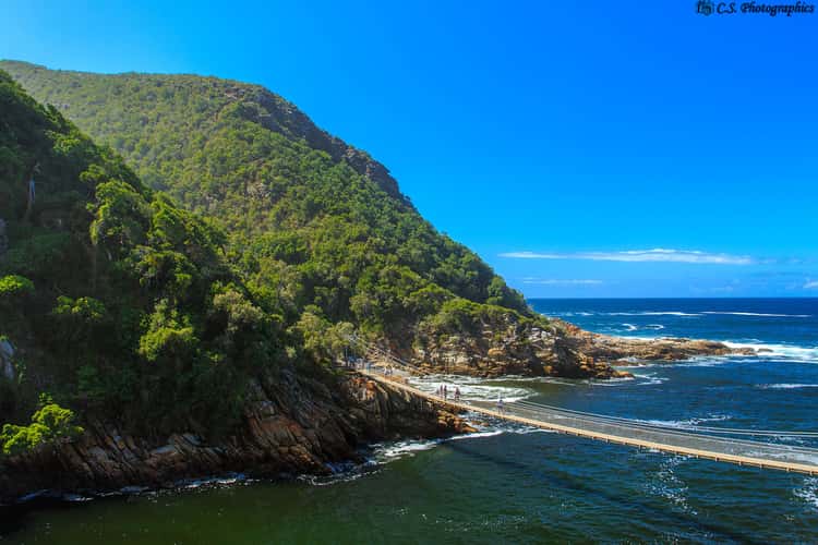 Tsitsikamma suspension bridge