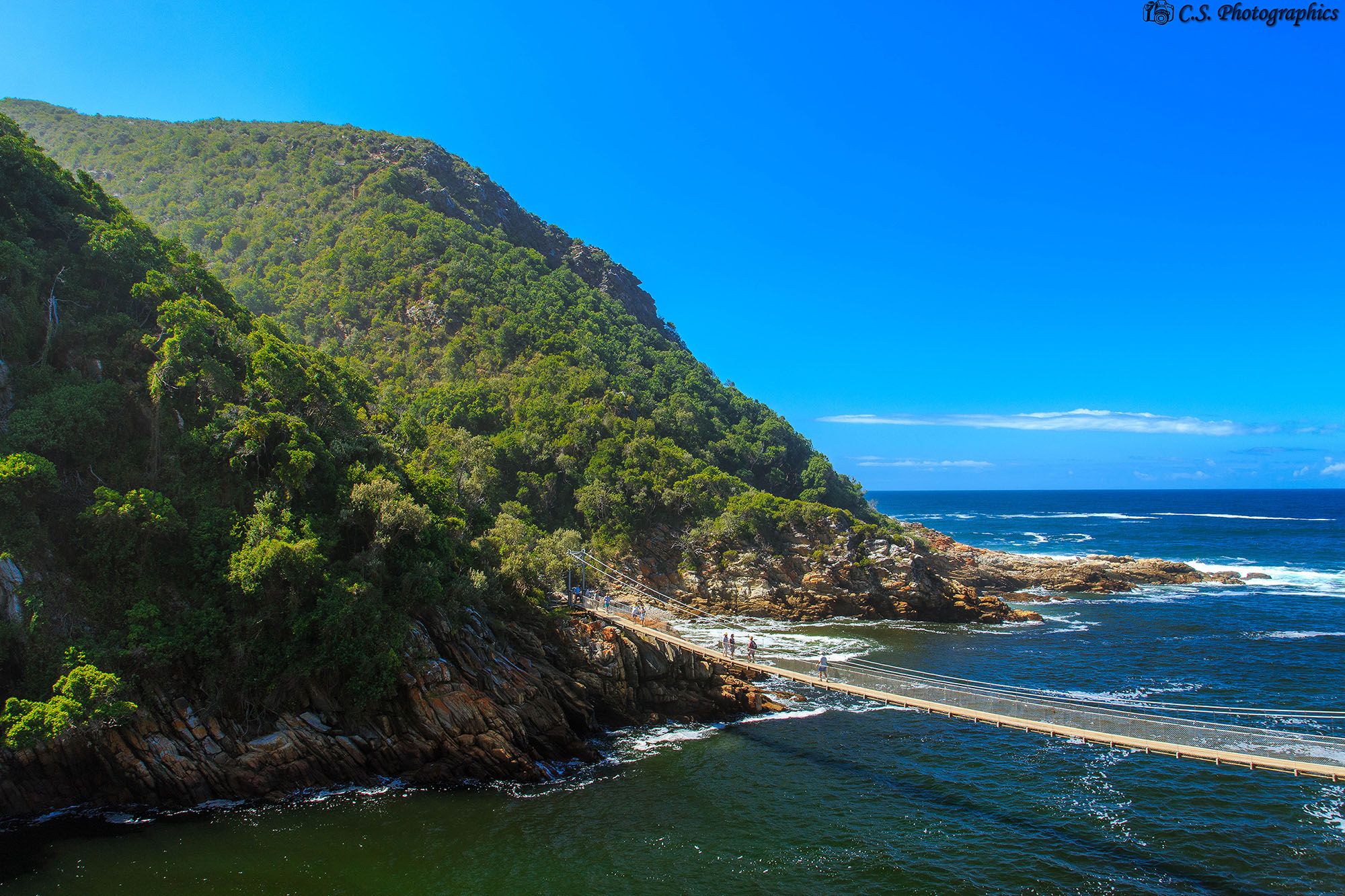Tsitsikamma suspension bridge, South Africa
