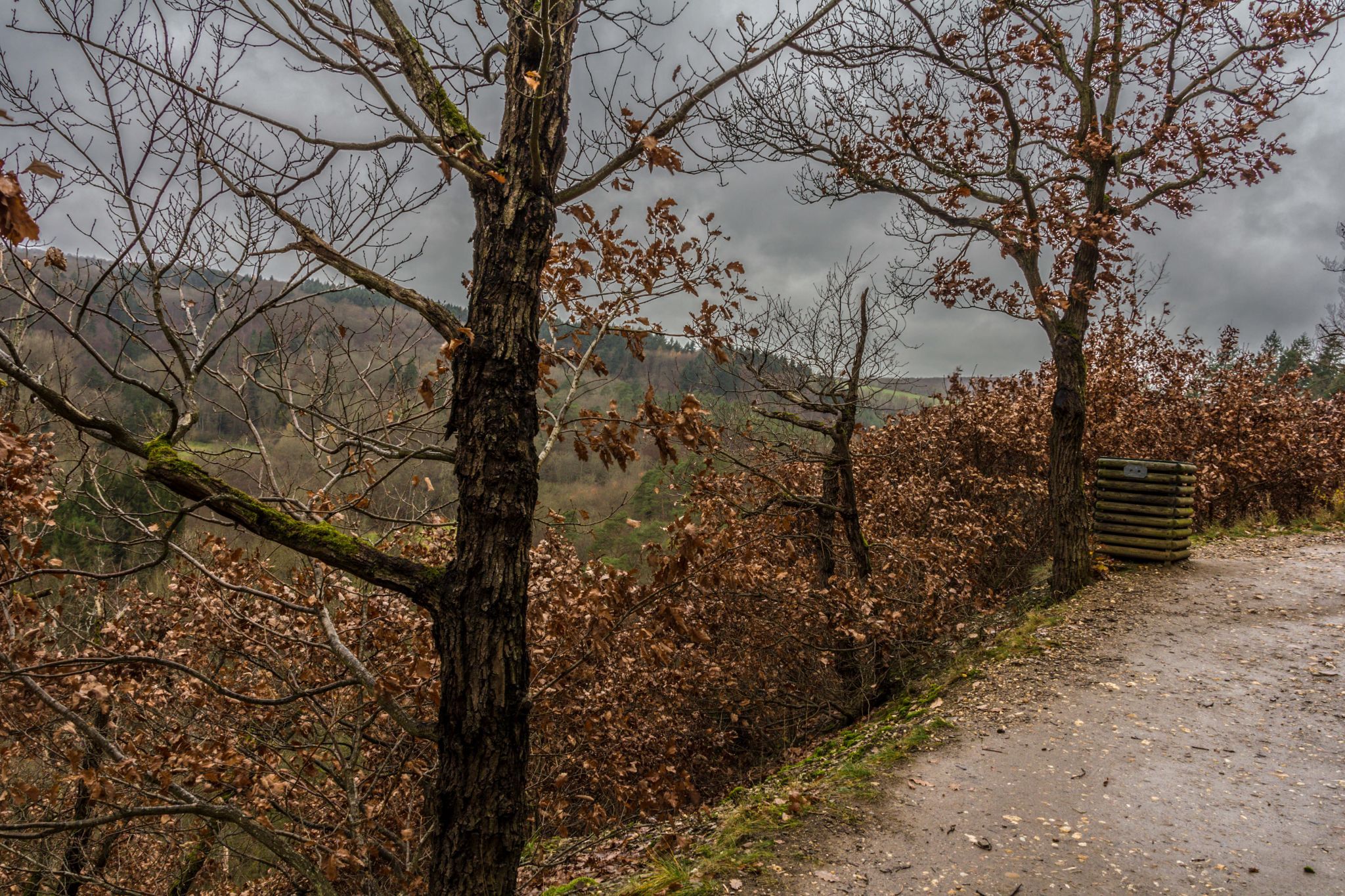 View over Wierschemer Bach valley, Germany