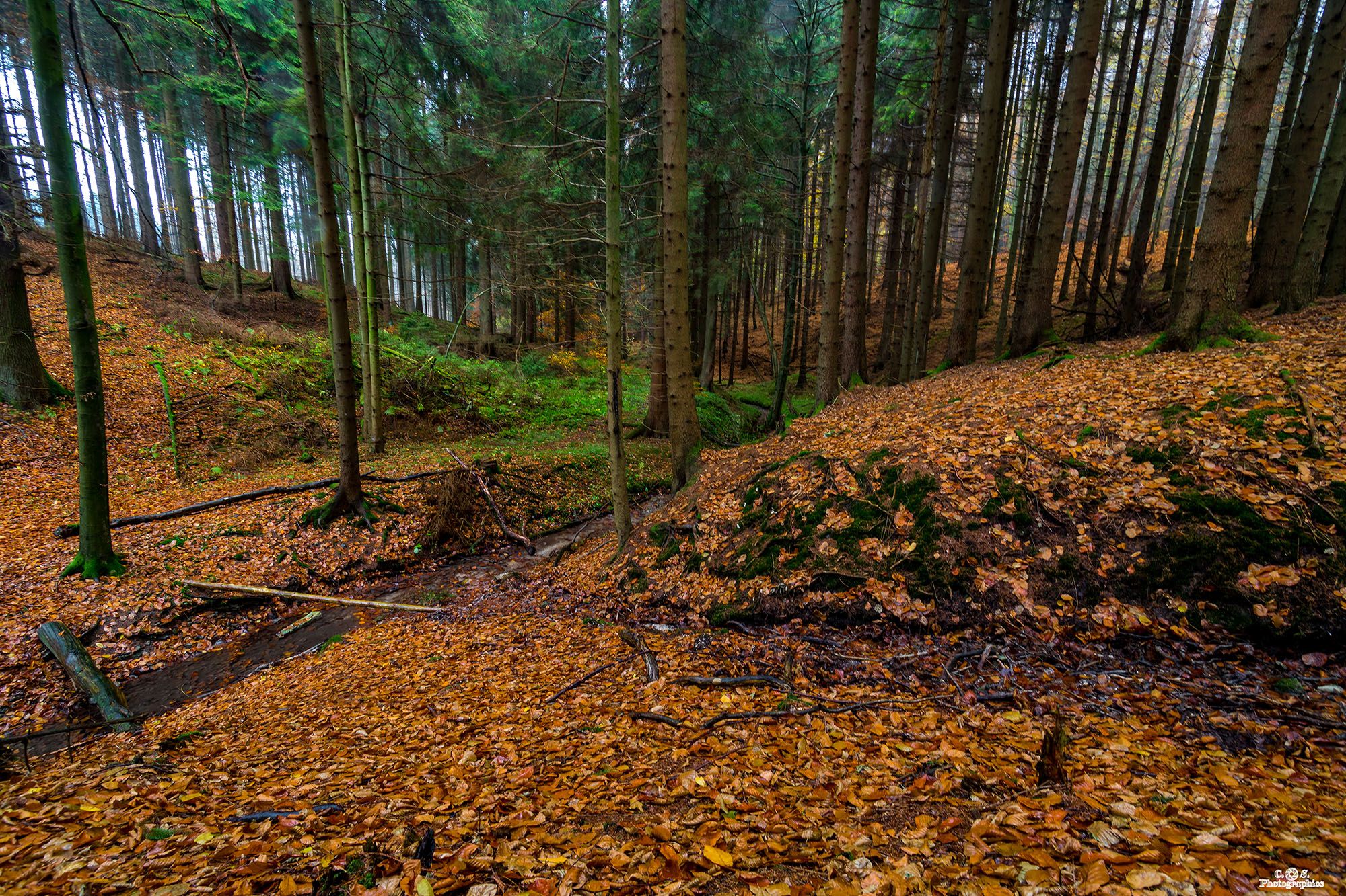 Wasserfall Melle, Osnabrück, Germany