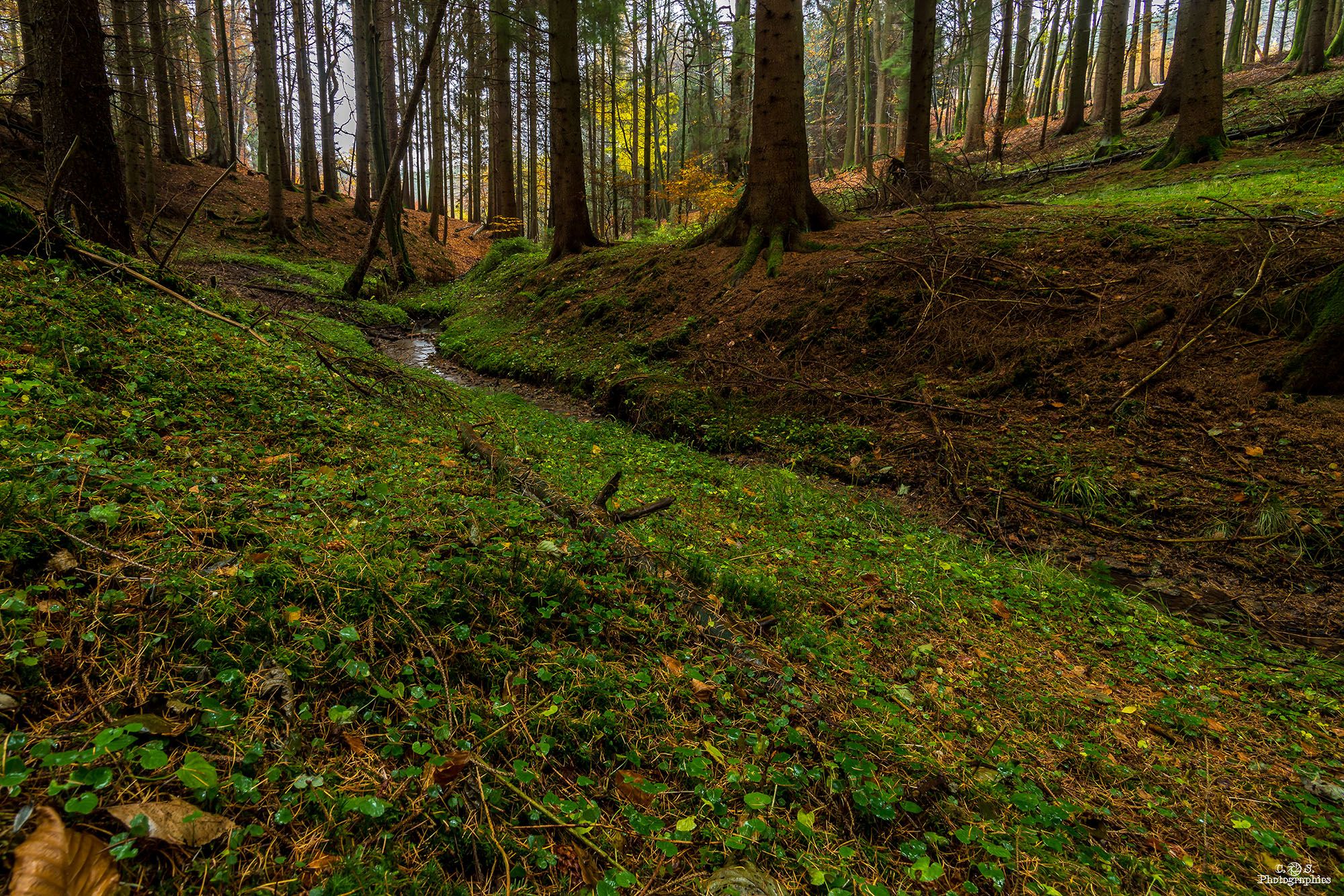 Wasserfall Melle, Osnabrück, Germany