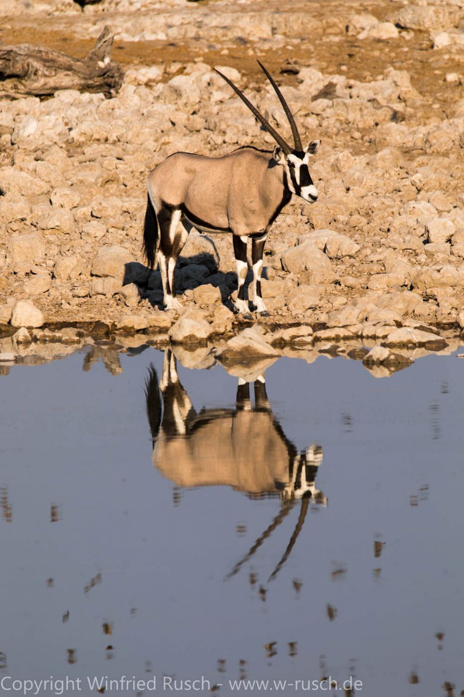 Waterhole at Okaukuejo Camp, Etosha National Park, Namibia