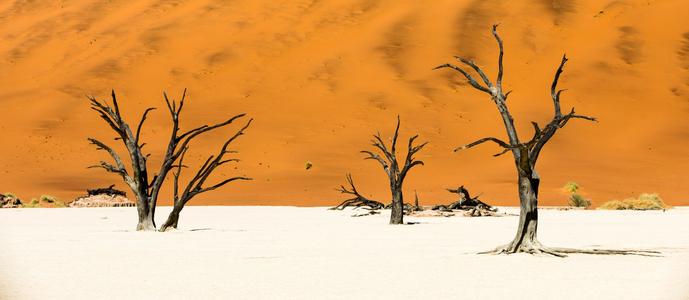 Desert landscape Deadvlei