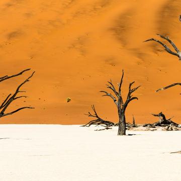 Desert landscape Deadvlei, Namibia